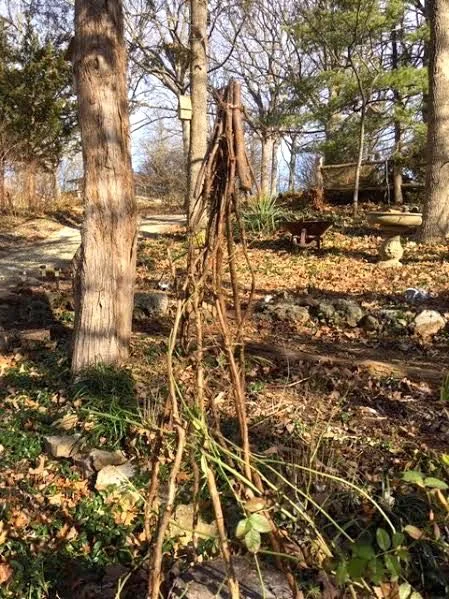 The cedar limb rose trellis with a top cap out of cedar. (Photo by Charlotte Ekker Wiggins)