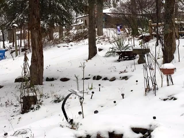 Rose trellises now covered in a January 2019 snow. (Photo by Charlotte Ekker Wiggins)