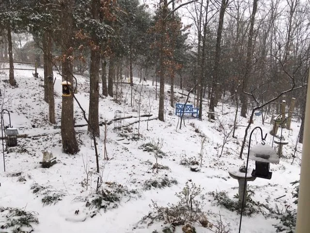 Icy paths get a layer of snow. (Photo by Charlotte Ekker Wiggins)