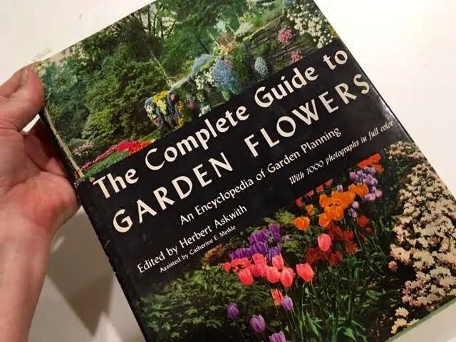 I bet I can describe this jacket cover in my sleep! (Photo by Charlotte Ekker Wiggins)