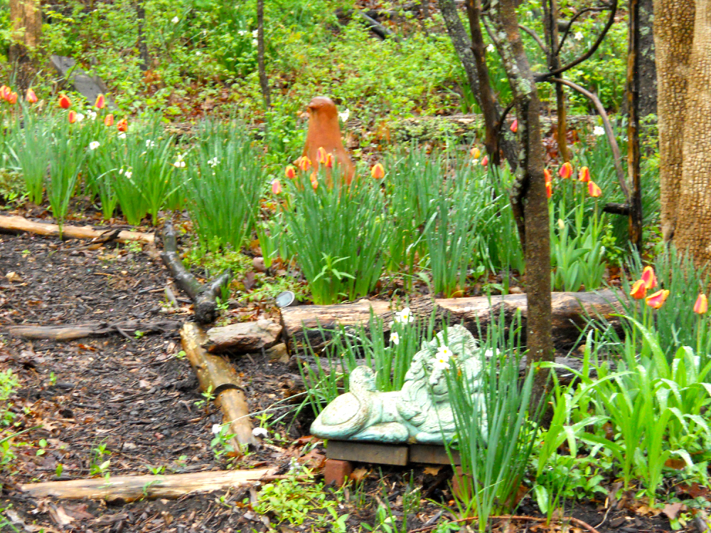 My clay pidgeon gets company with orange tulips. (Photo by Charlotte Ekker Wiggins)