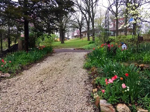 Heading up my driveway to the garbage container. (Photo by Charlotte Ekker Wiggins)