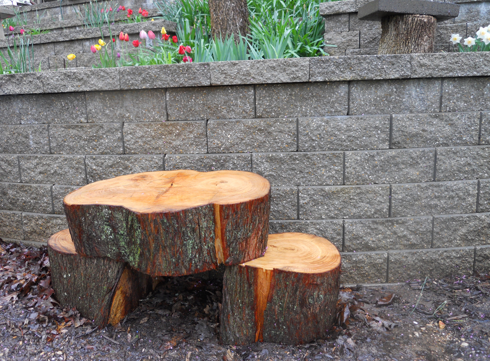Tree Stumps Bench Gardening Charlotte