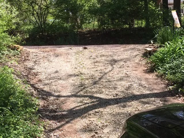 The first box turtle of 2019 was conveniently crossing my driveway. (Photo by Charlotte Ekker Wiggins)