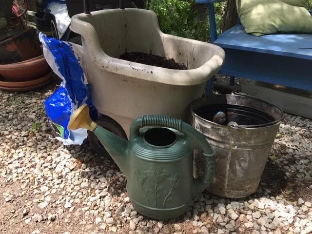 Basic planting supplies should include a watering can. (Photo by Charlotte Ekker Wiggins)
