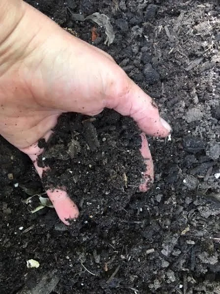 Still amazes me when compost is done and ready for use. (Photo by Charlotte Ekker Wiggins)