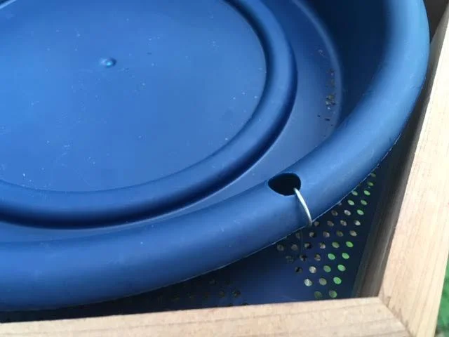 Tie down the blue plastic birdbath to the bottom. (Photo by Charlotte Ekker Wiggins)