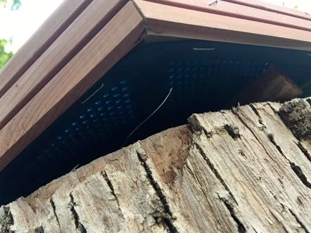 After wiring, don’t forget to level the bird bath. (Photo by Charlotte Ekker Wiggins)