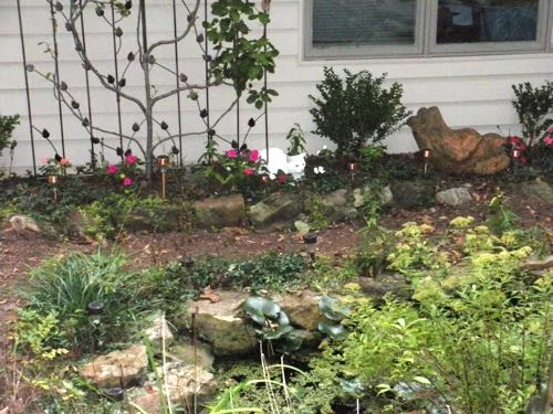Margaret in one of her favorite garden spots, where she can watch frogs. (Photo by Charlotte Ekker Wiggins)