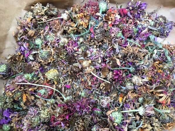 A lined cardboard box I periodically toss is an excellent place to dry zinnias. (Photo by Charlotte Ekker Wiggins)