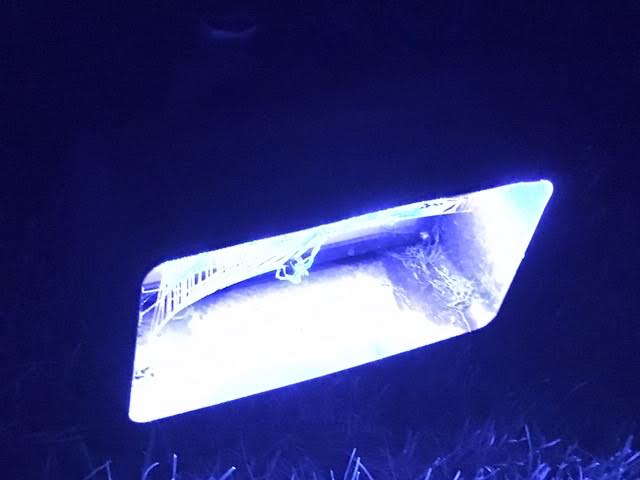 We watched a spider spinning her web in front of the lights! (Photo by Charlotte Ekker Wiggins)