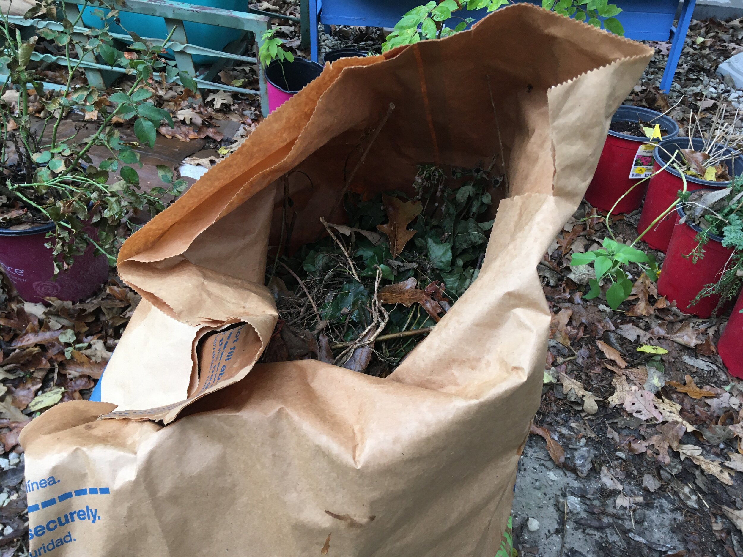 Versatile Leaf Bags — Gardening Charlotte