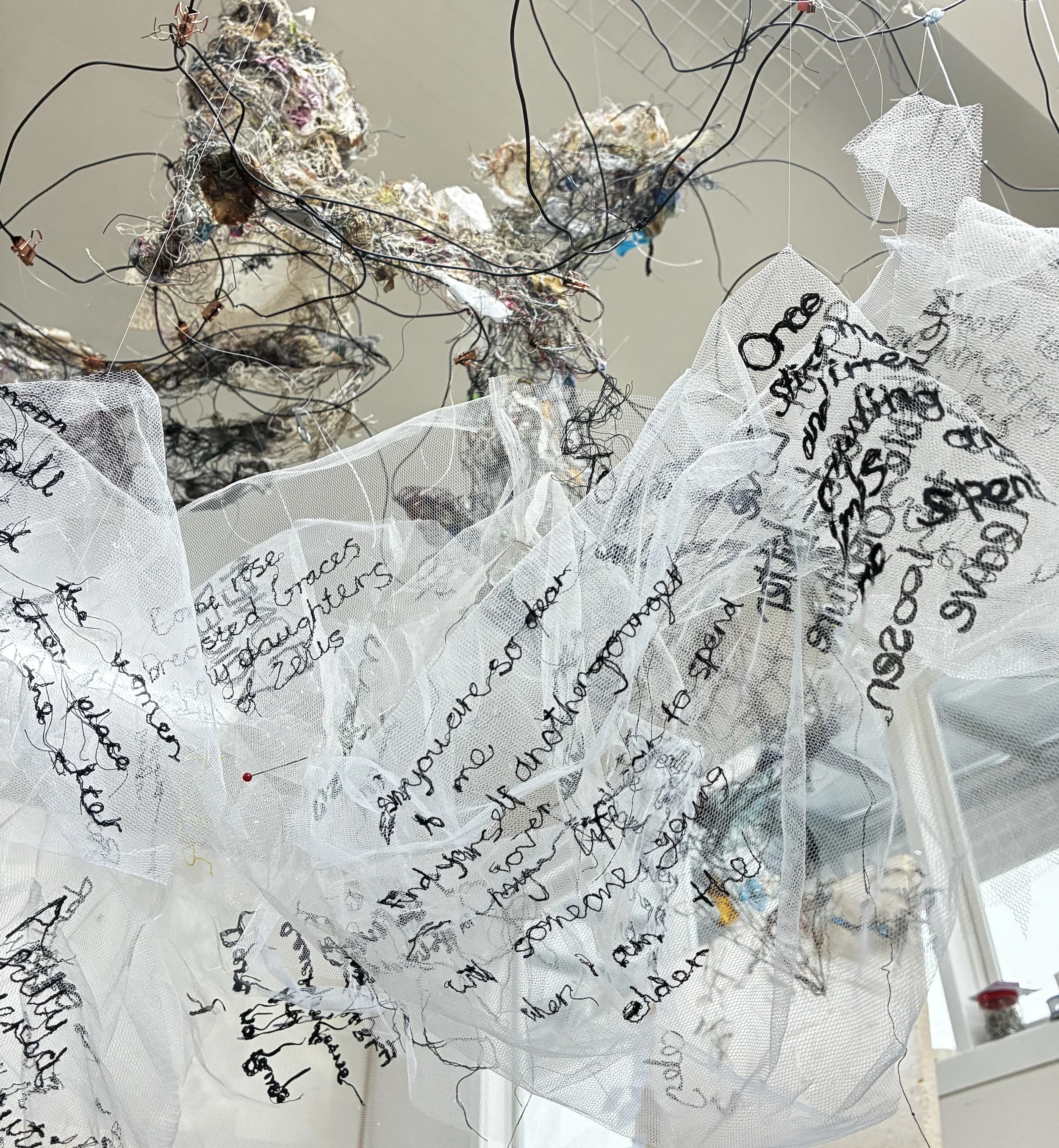 JulietDCollins_StitchwithSappho_WIPdetail_2026.jpeg