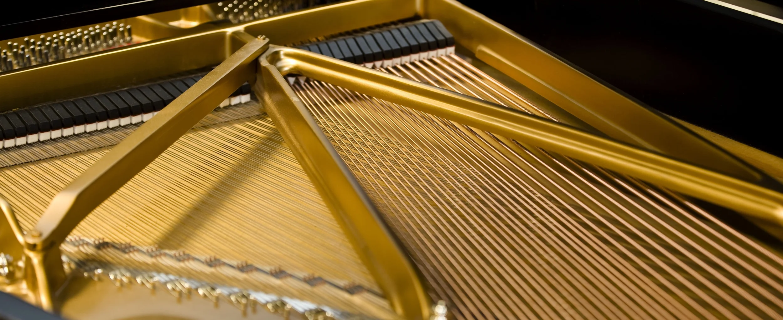 To See the Dark Between (2010)