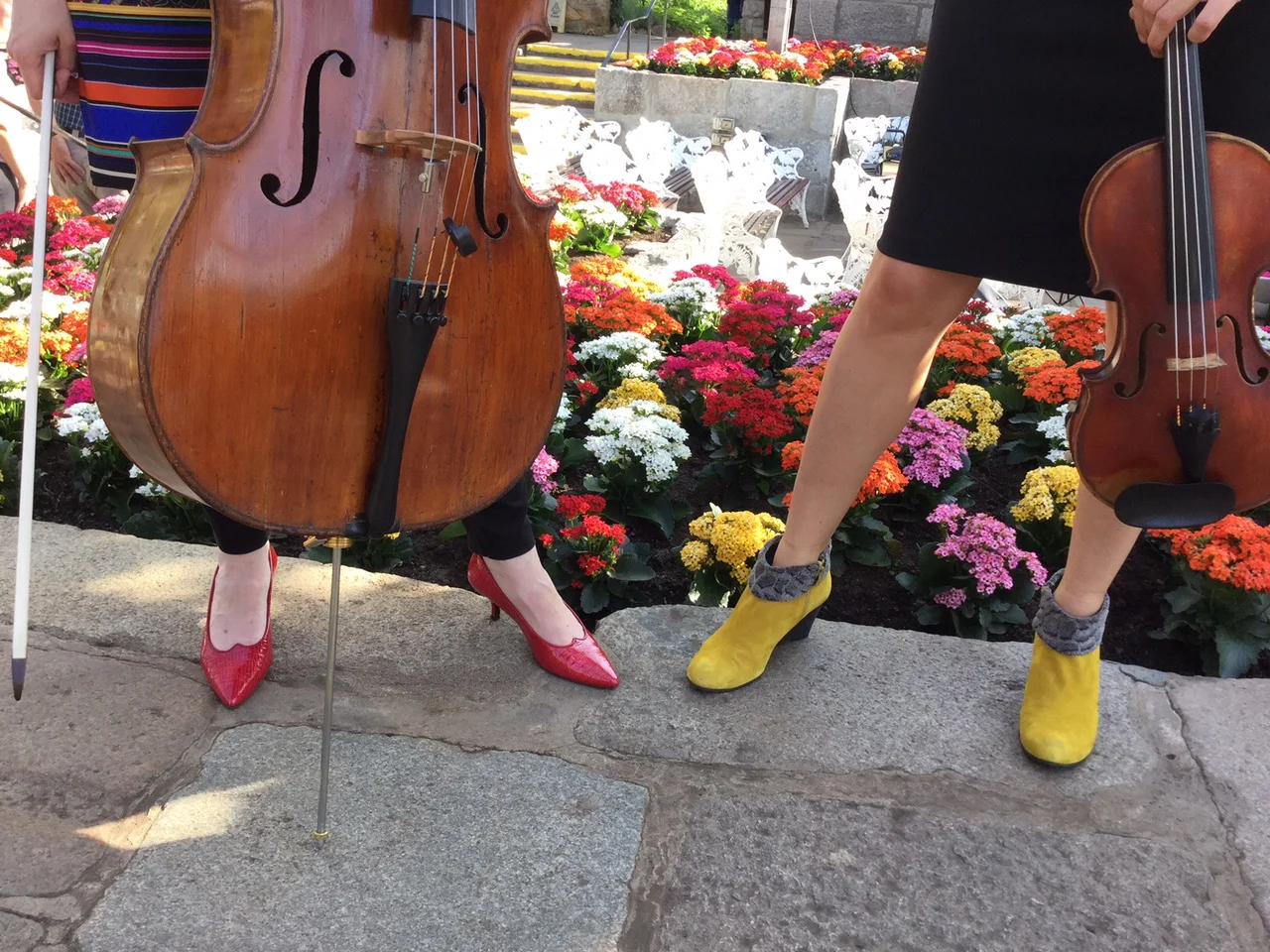 High Heels and Horse Hair - blog