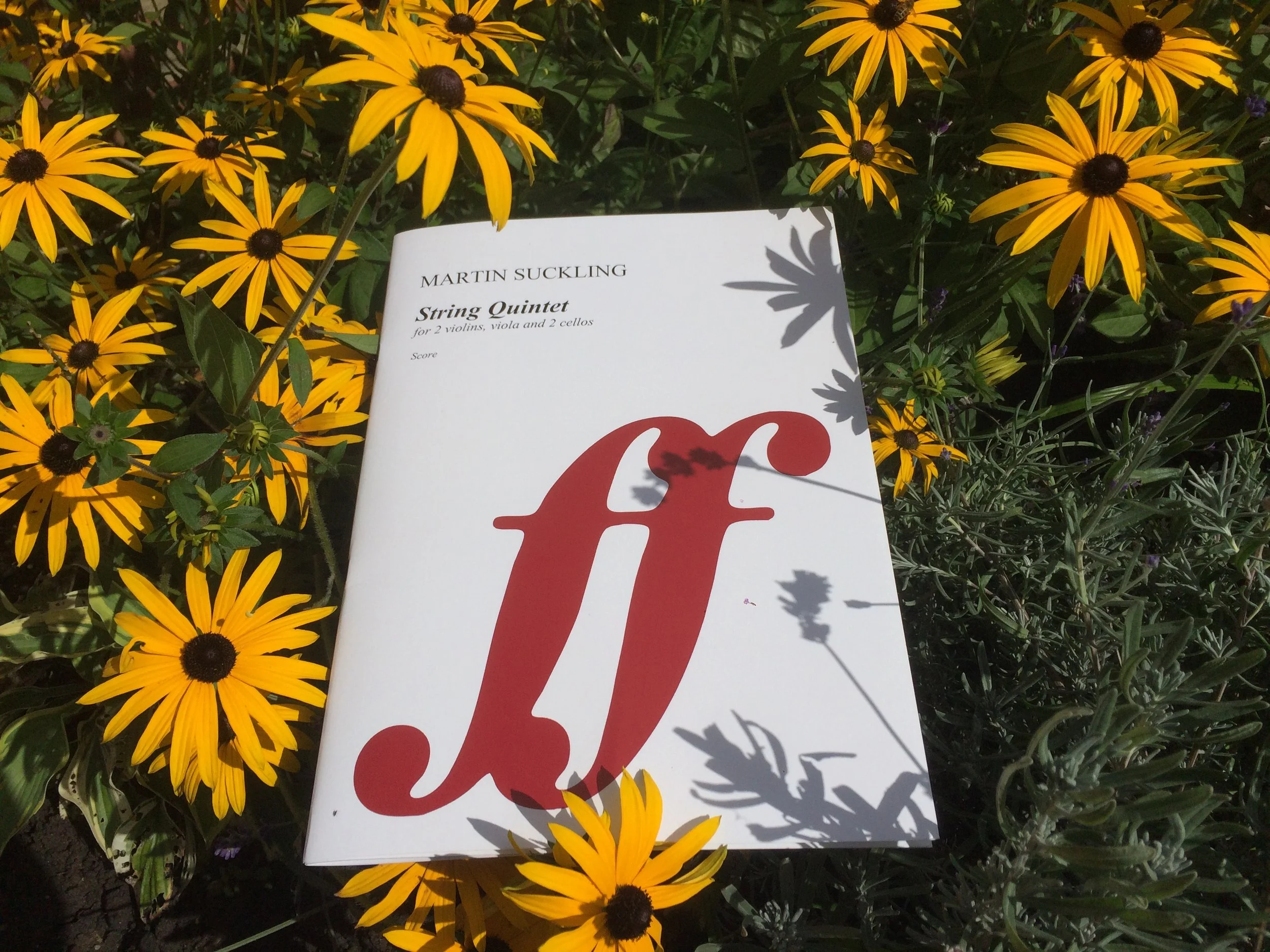 PETMEM, Poet in the City, Aurora Orchestra, and a new Quintet