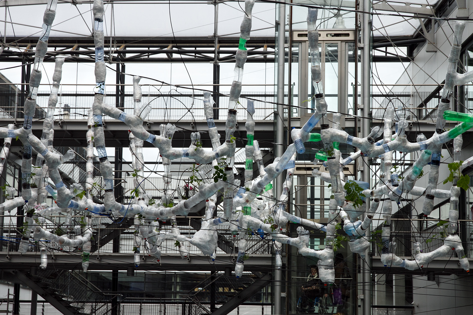 the hanging gardens of B
