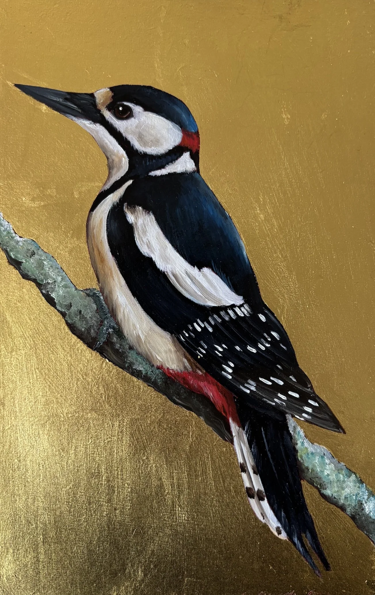 GREATER SPOTTED WOODPECKER BECKY MUNTING oil and gold leaf on board 16 x 25.5cm image sioze 23 x 32.5cm framed in black tray frame.jpg