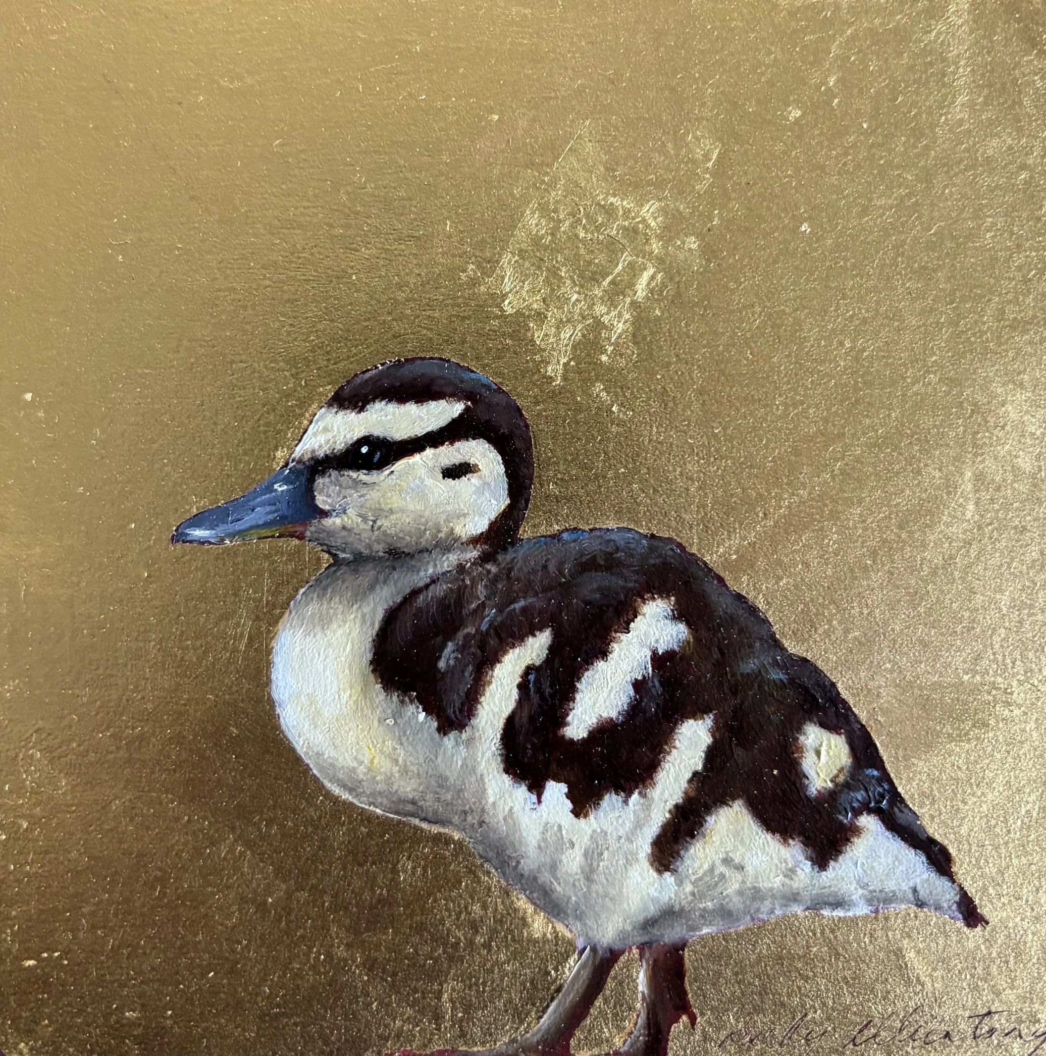 LITTLE DUCKLING II BECKY MUNTING oil and gold leaf on board 12 x 12 cm image size 19 x 19cm framed in black tray frame.jpg