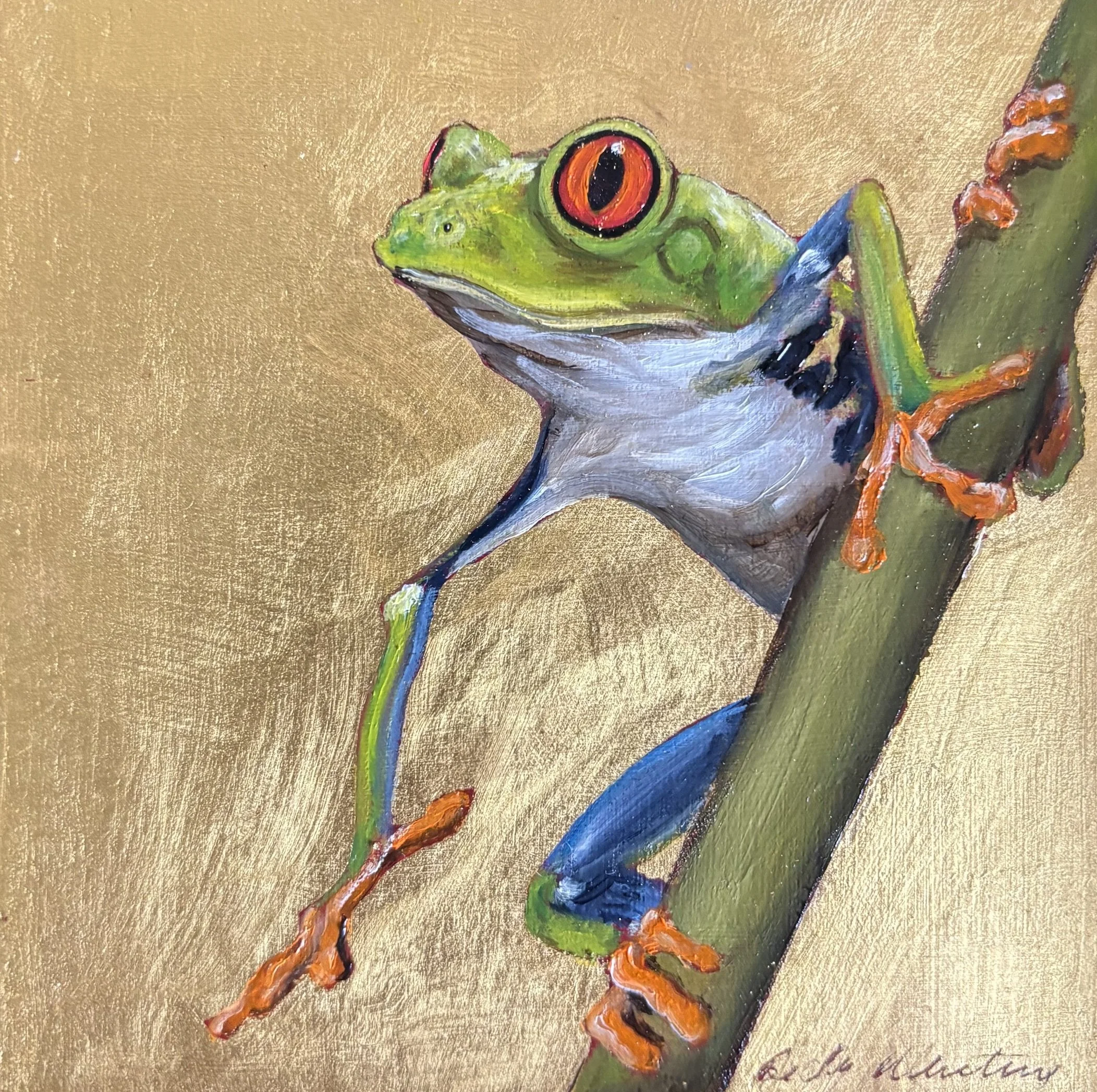 BECKY MUNTING TREE FROG III  oil and gold leaf on board 12 x 12cm image size 19 x 19cm framed in black tray frame.jpg