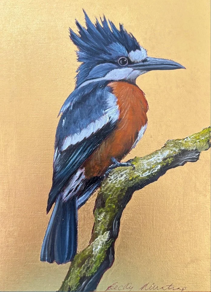 RINGED KINGFISHER BECKY MUNTING oil and gold leaf on board 13 x 18cm iimage size 18.5 x 25cm framed in black tray frame.jpg