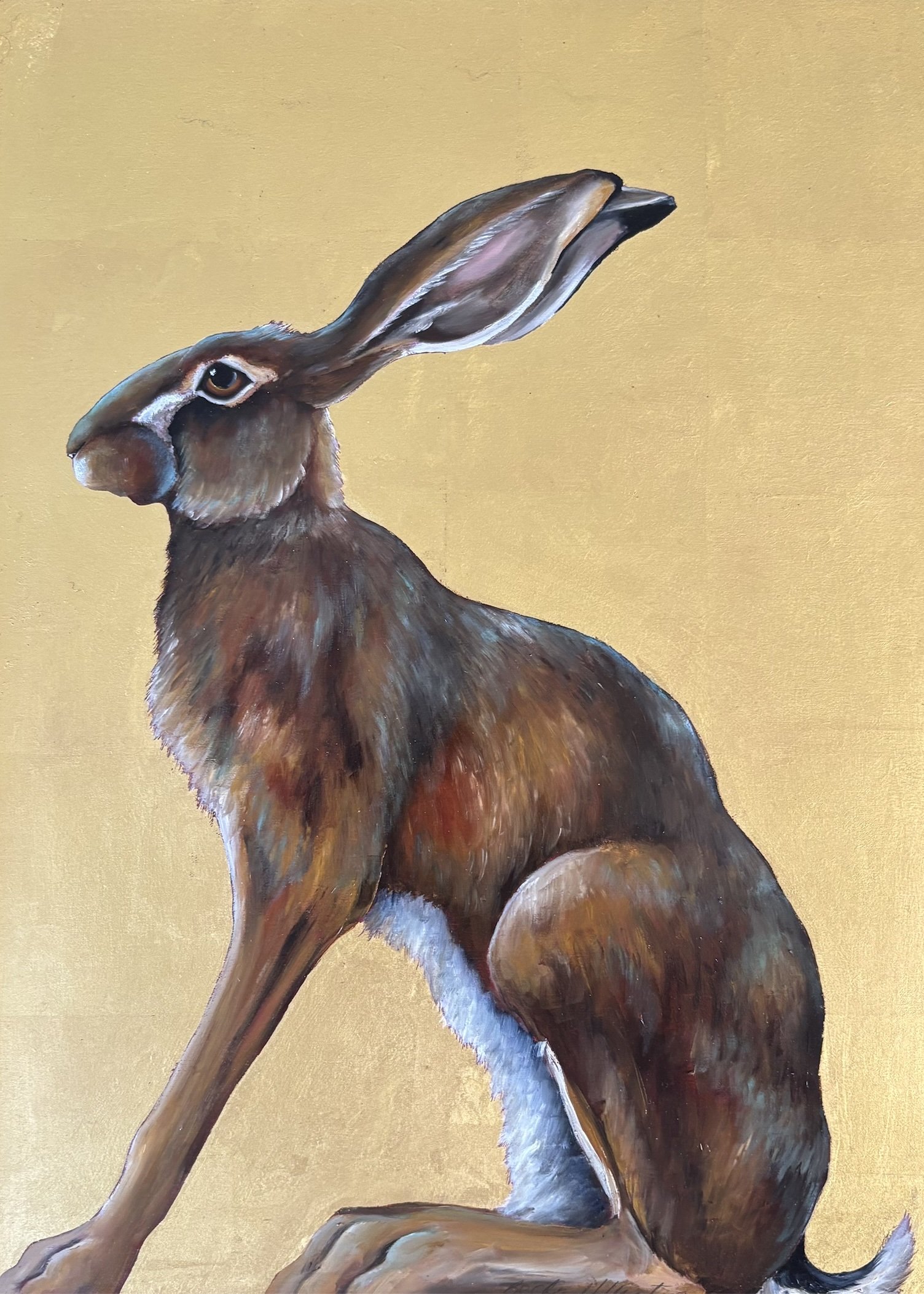 SITTING HARE I BECKY MUNTING oil and gold elaf on baord 30 x 40cm image size 35 x 45cm framed in black tray frame.jpg