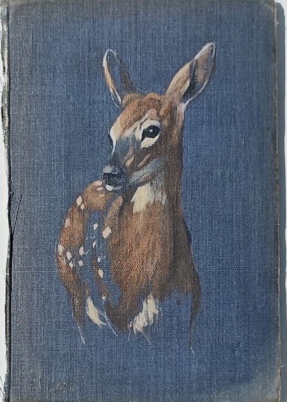 THE DEER PETER HAWKINS oil on book cover 25 x 20 cm framed in tray frame 1.jpg