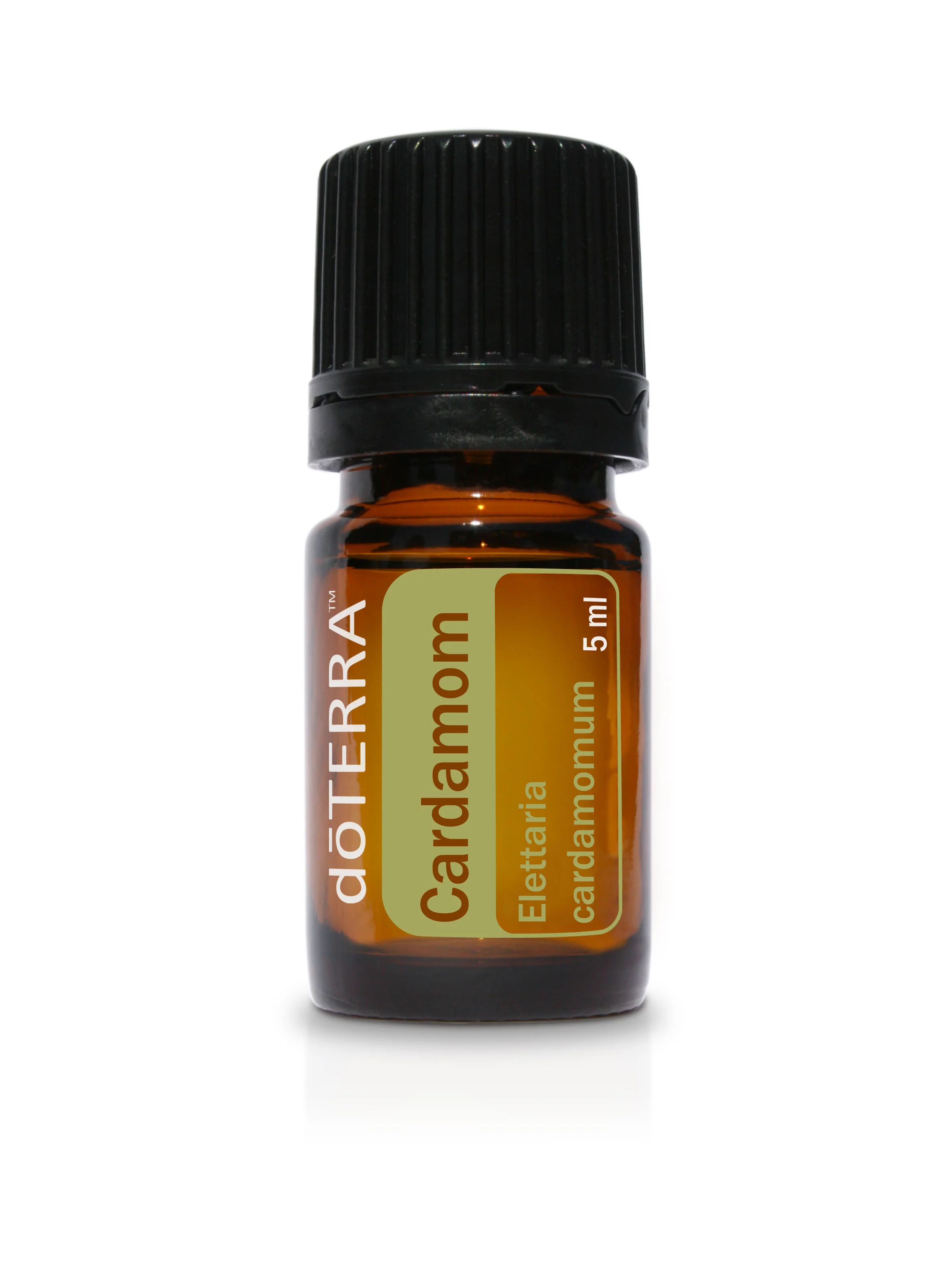 Cardamom