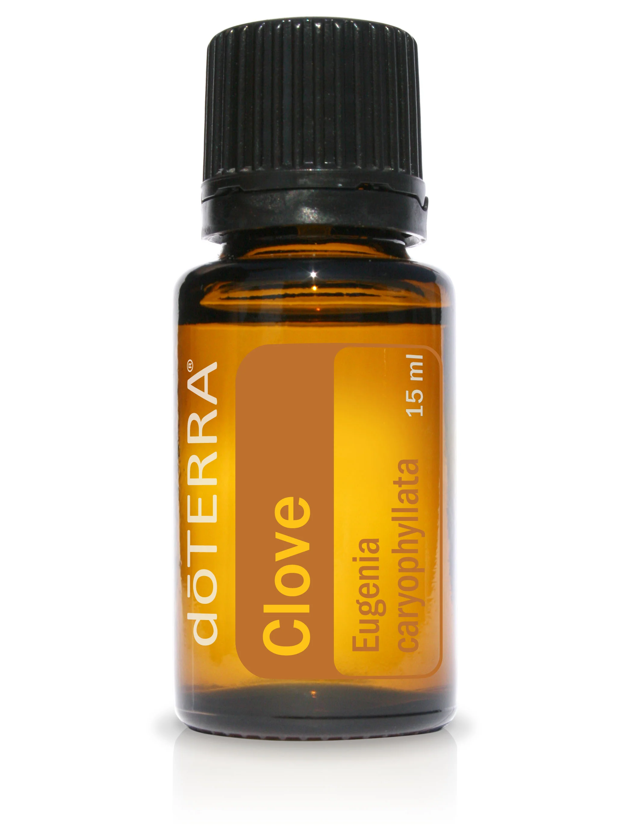 Clove