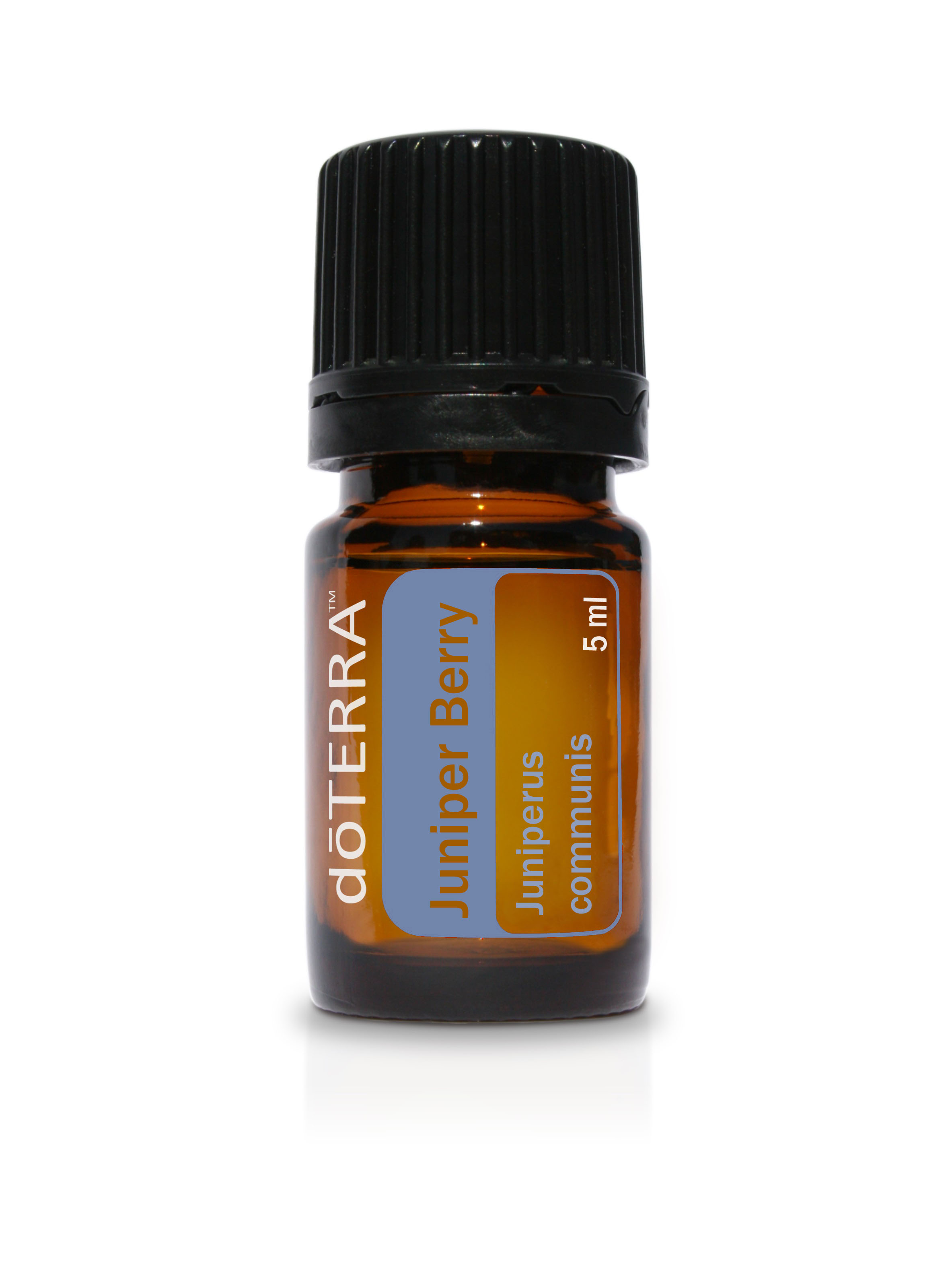Juniper Berry
