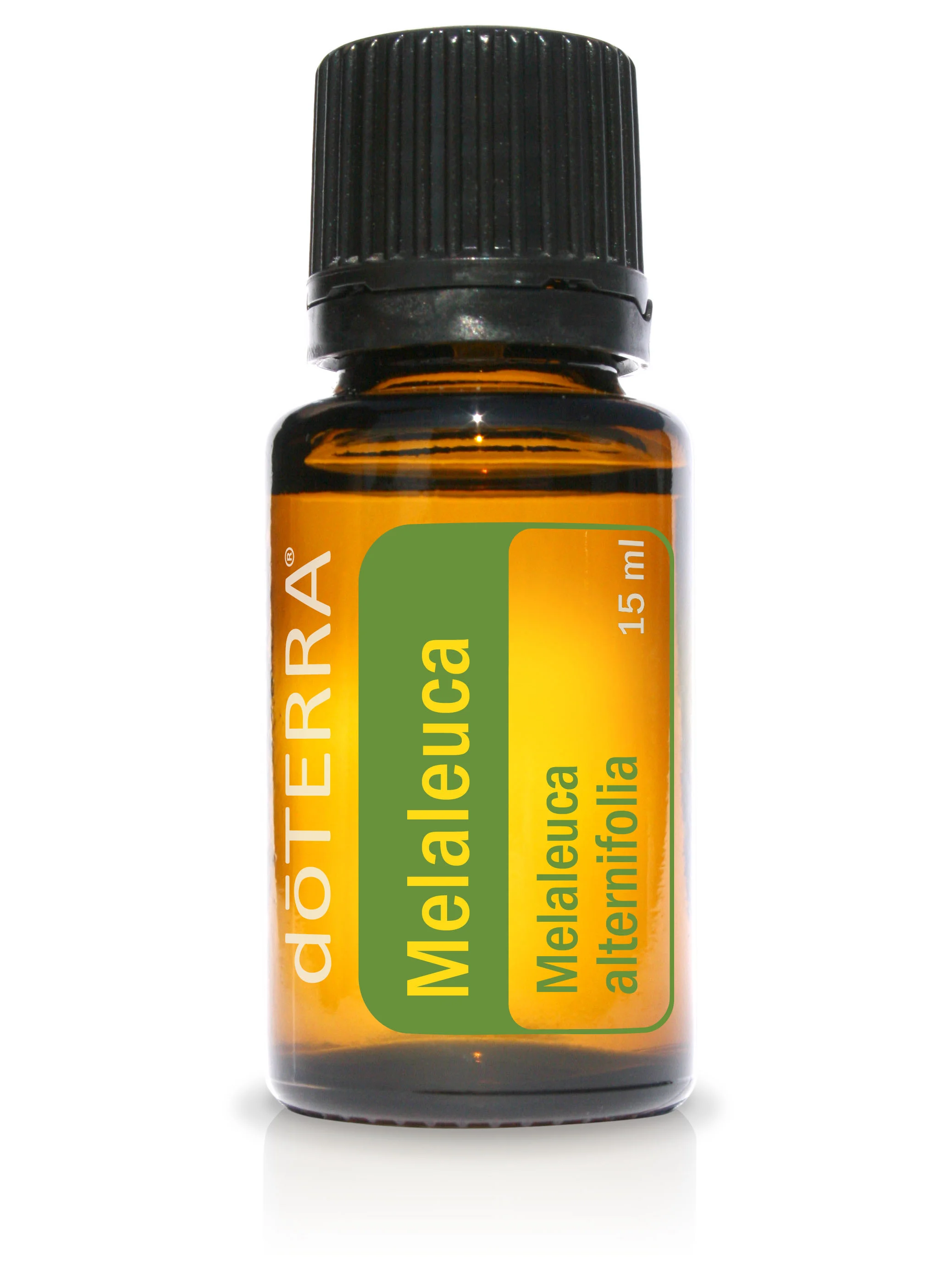 Melaleuca