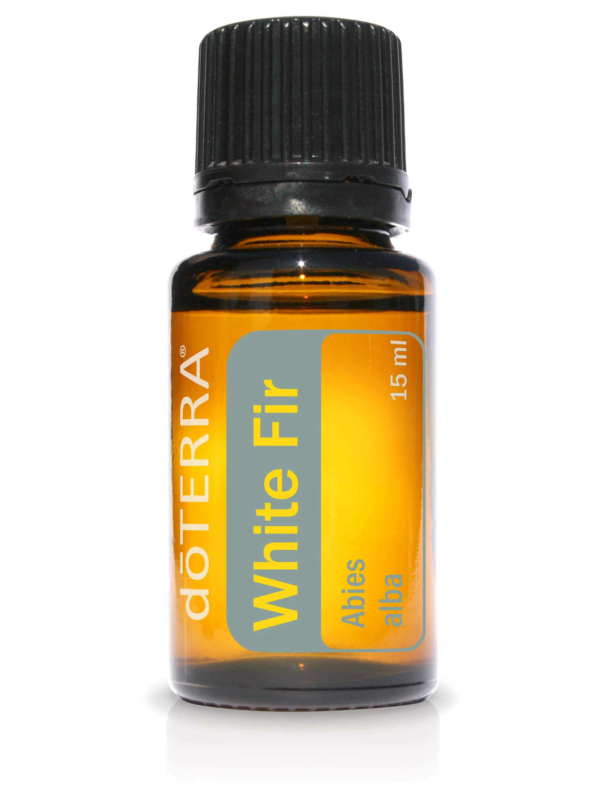White Fir