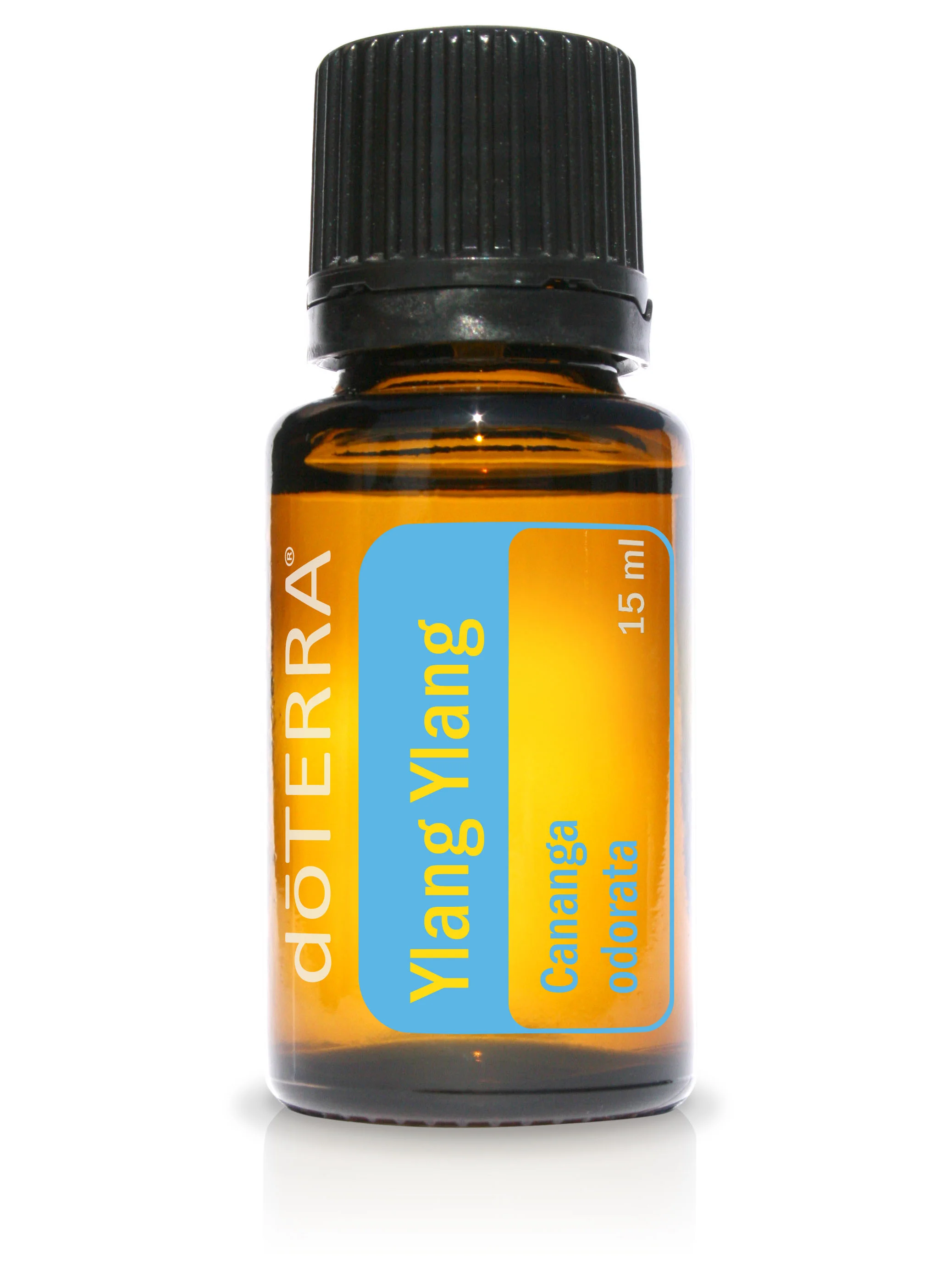 Ylang Ylang