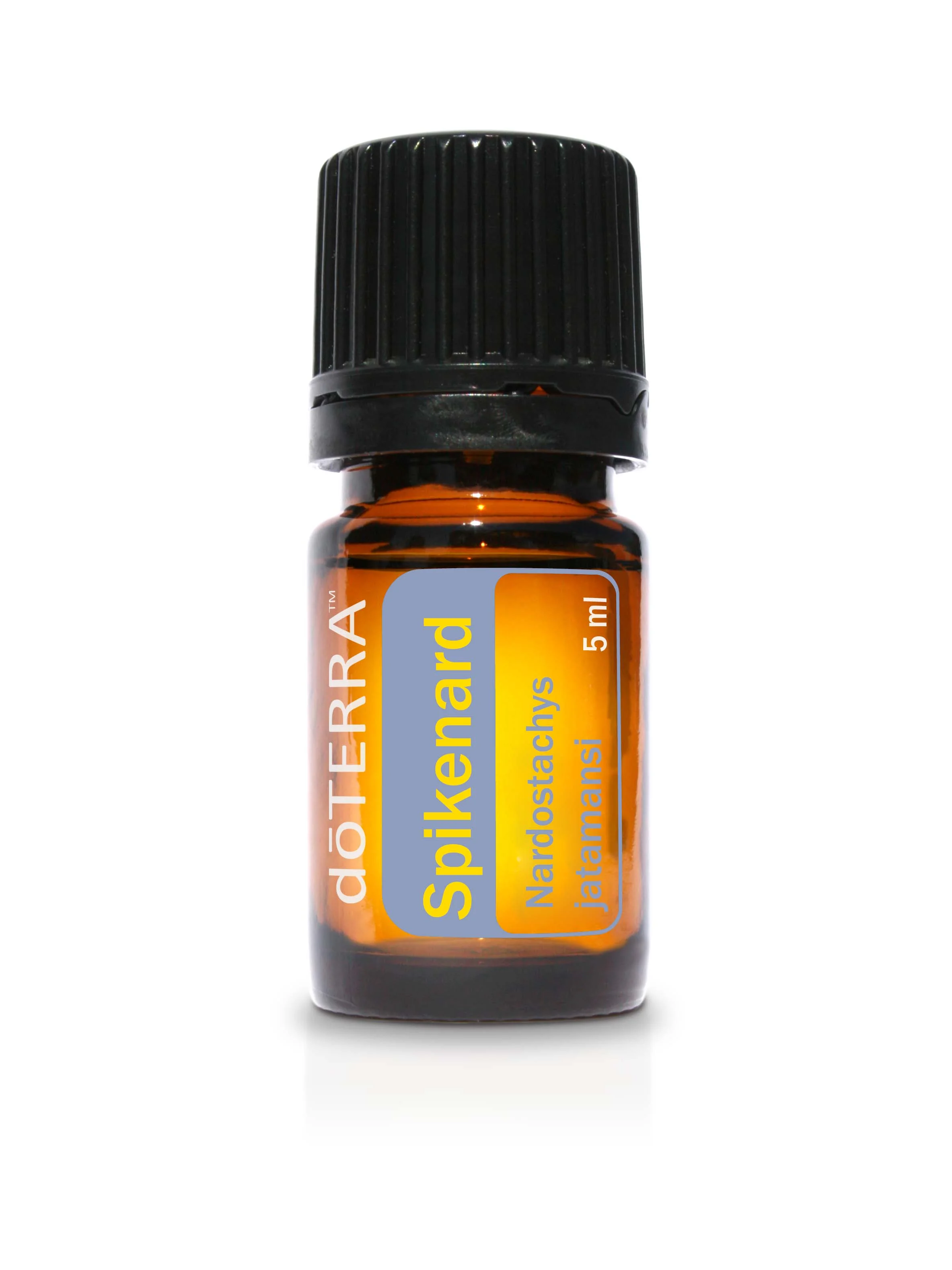 Spikenard