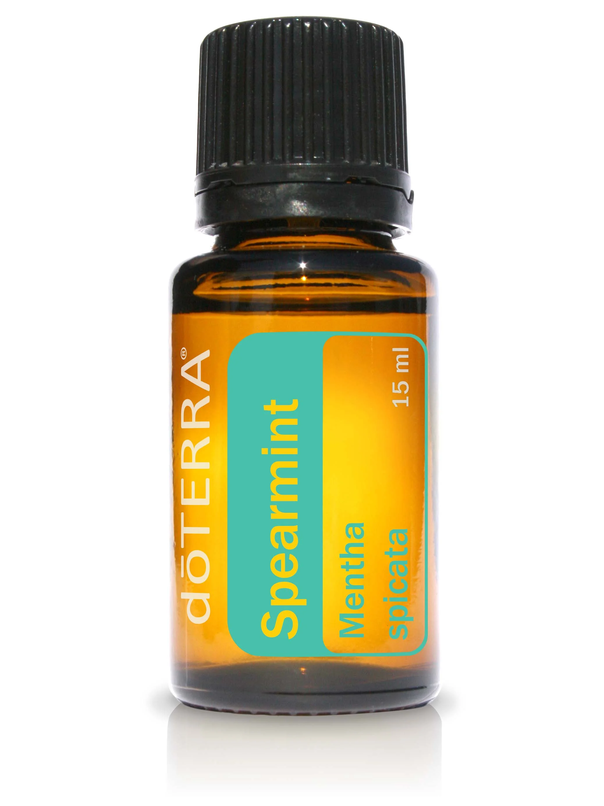 Spearmint