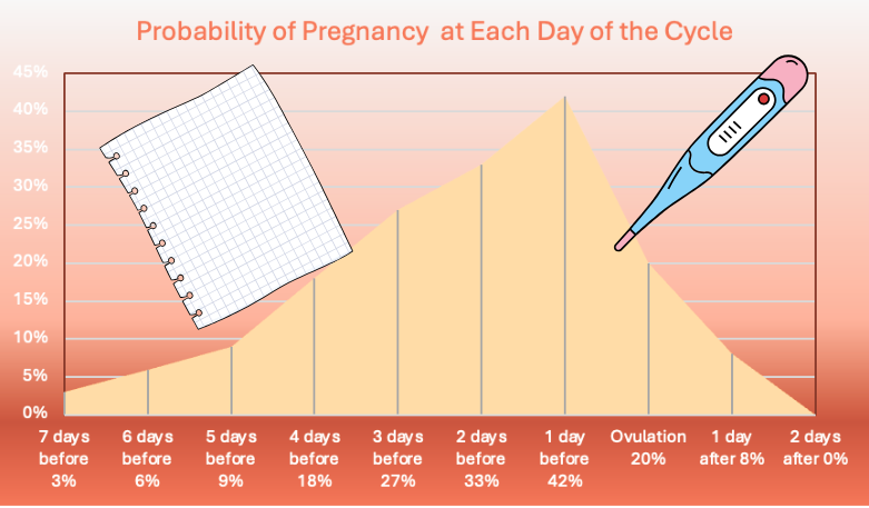 BBT and cervical mucus tracking: why I tell all my patients to use the sympto-thermal method whether they are trying to conceive or not