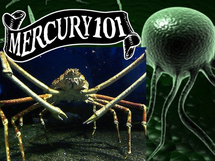 #CancerMercury