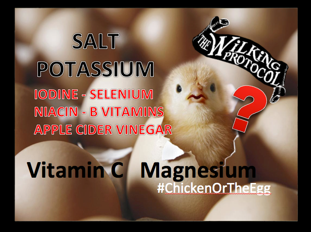 SaltPotassiumChickenEgg.jpg