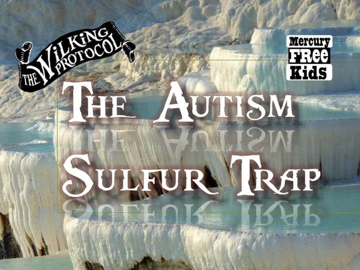 AutismSulfurTrap.jpg