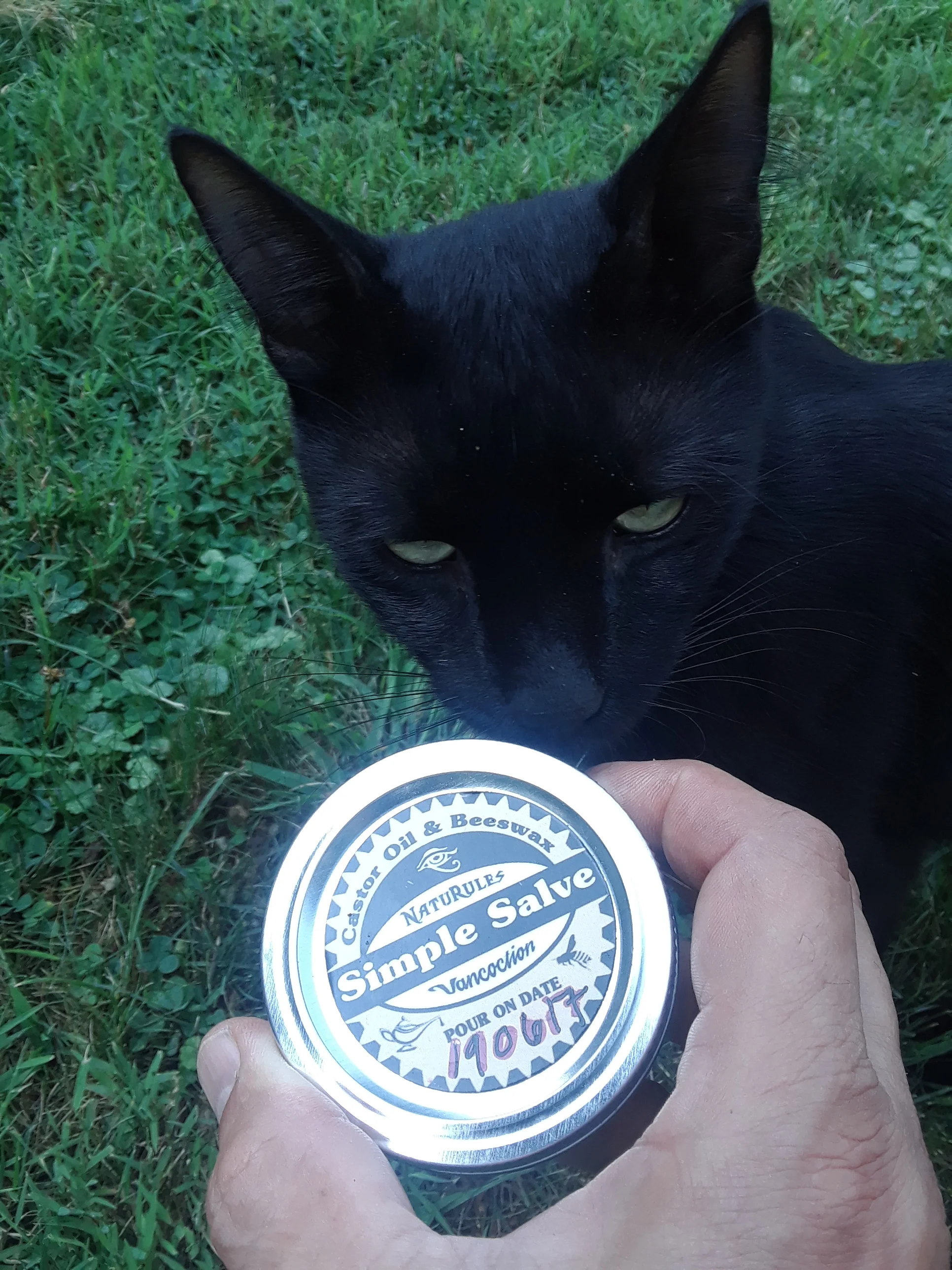 20190803_104041 Naturules Chapo Salve.jpg