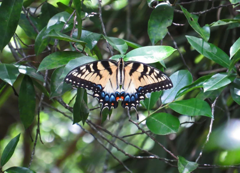 May 16 2015_8746 new.jpg