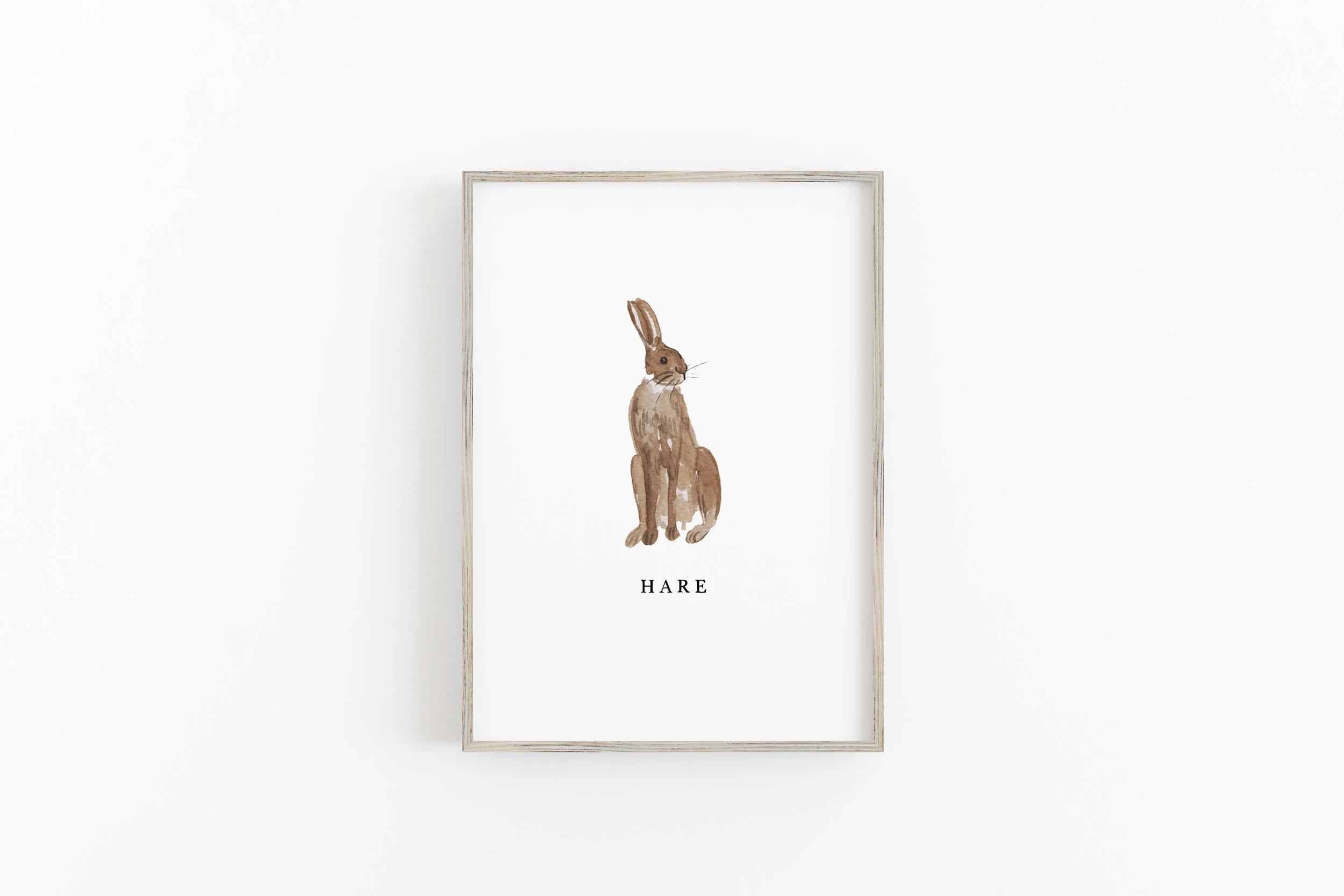 hare.jpg
