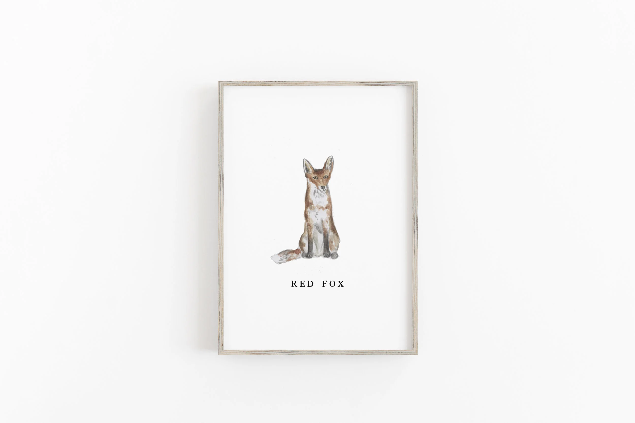 redfox.jpg