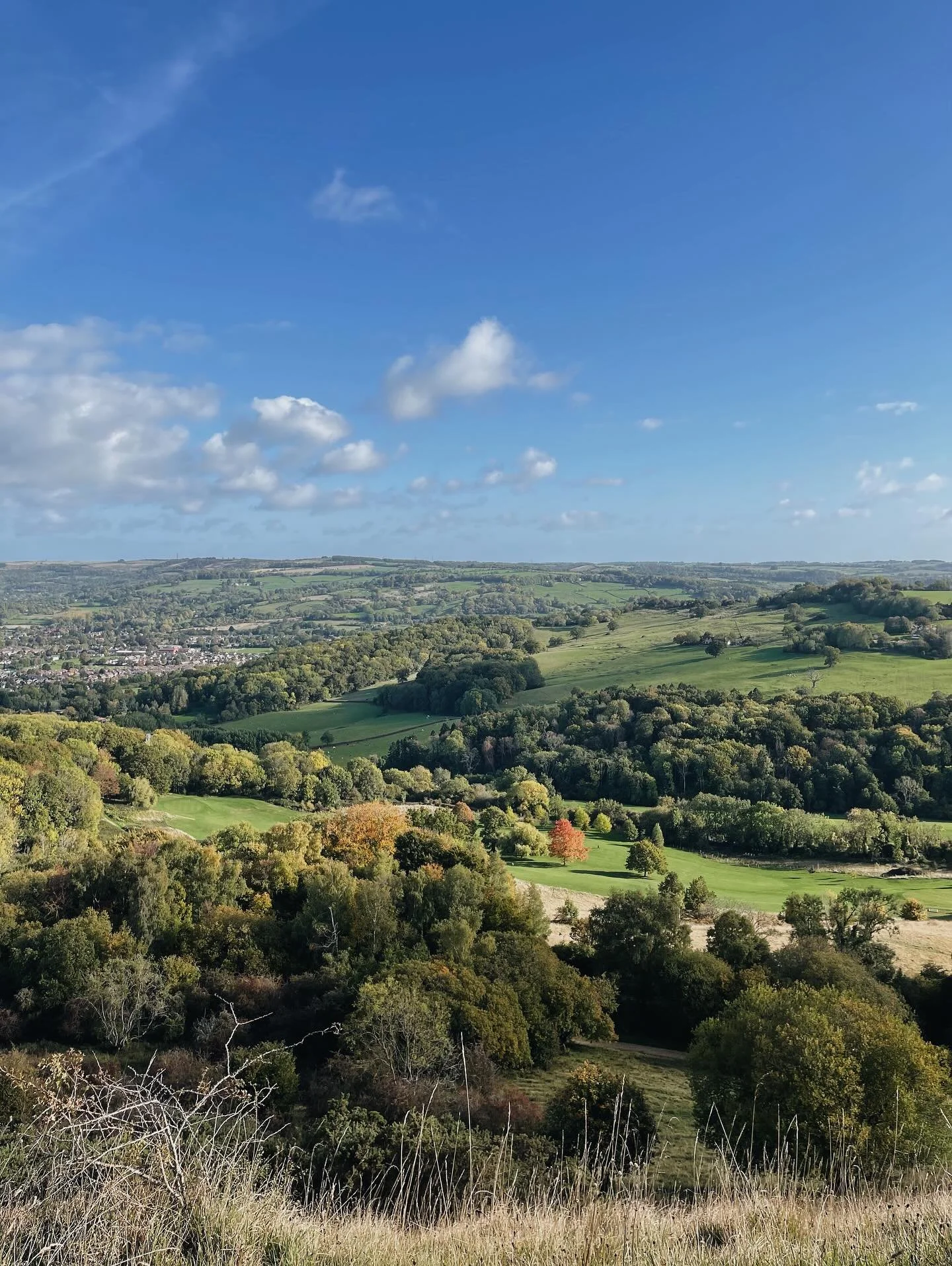 Season&rsquo;s turn 📍Leckhampton Hill ❤️🌻 Such a beautiful morning on the hill today - we loved looking for signs of the changing season as a family 🍎 If you fancy a little stroll to buy some writing paper, the shop is open until 2pm 🍎