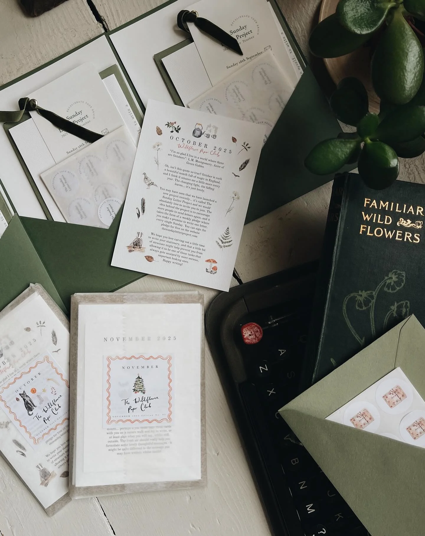 On the packing table: Sunday Letter Project starter packs and Wildflower Paper Clubs 🍁❤️ Some paper lovers are going to have some happy post this week! 💌