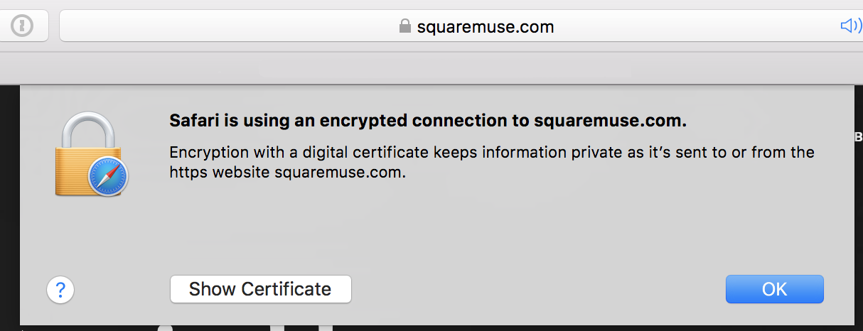Safari-SSL-certificate-Squaremuse-Squarespace-templates.png