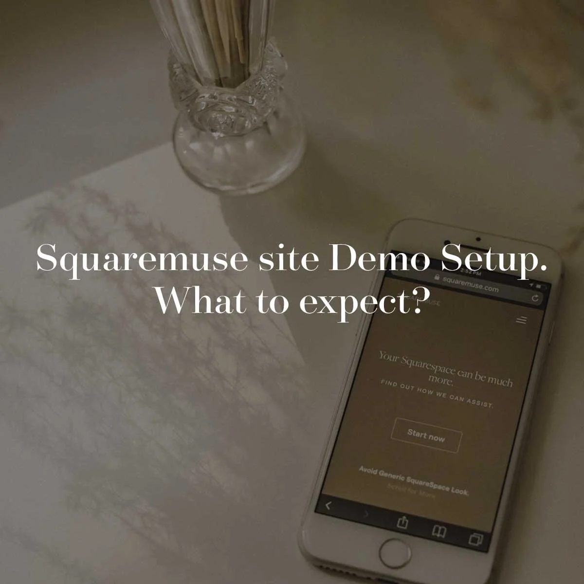 IG-Squaremuse-site-Demo Setup - what to expect.jpg