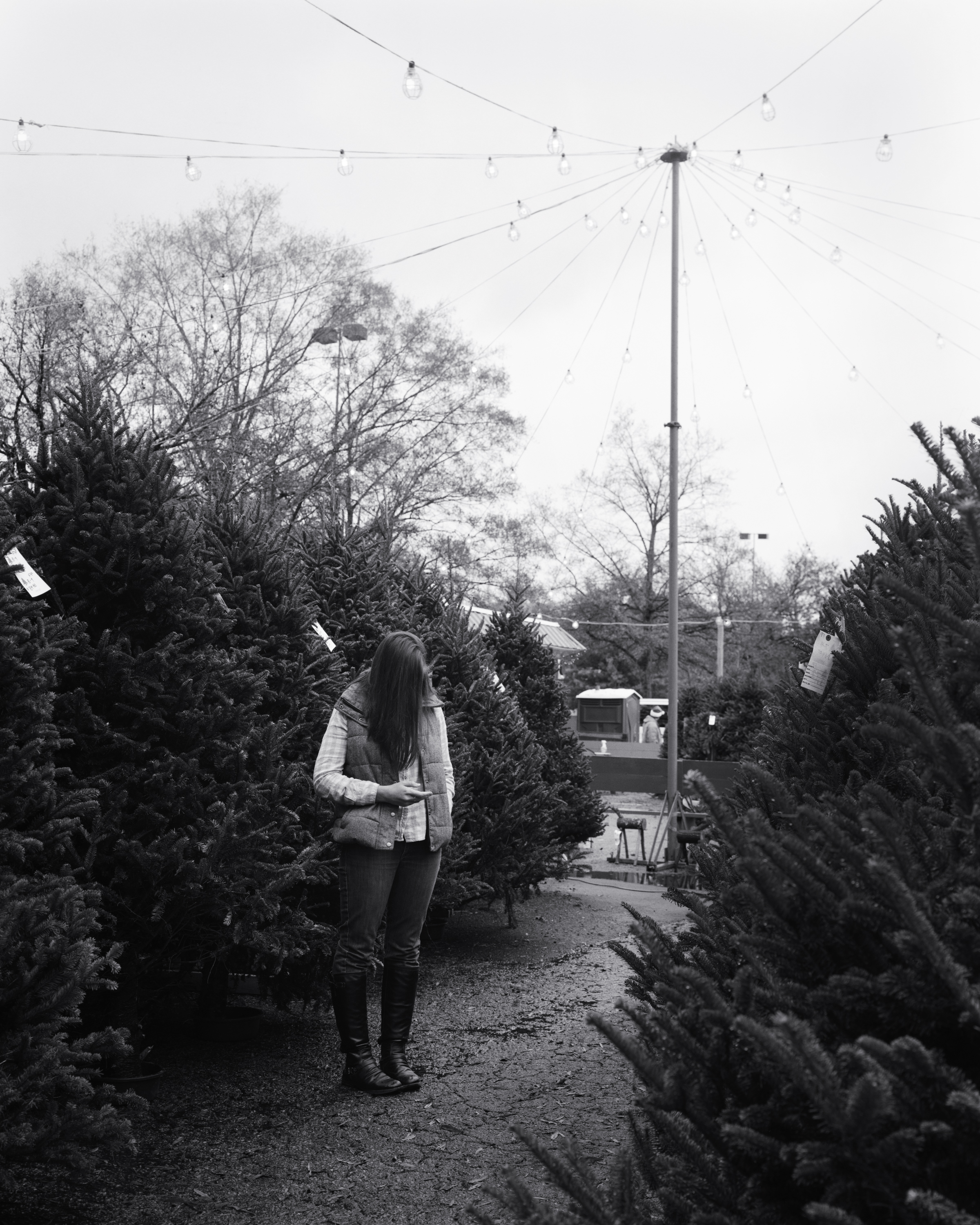 Angie Tree Shopping