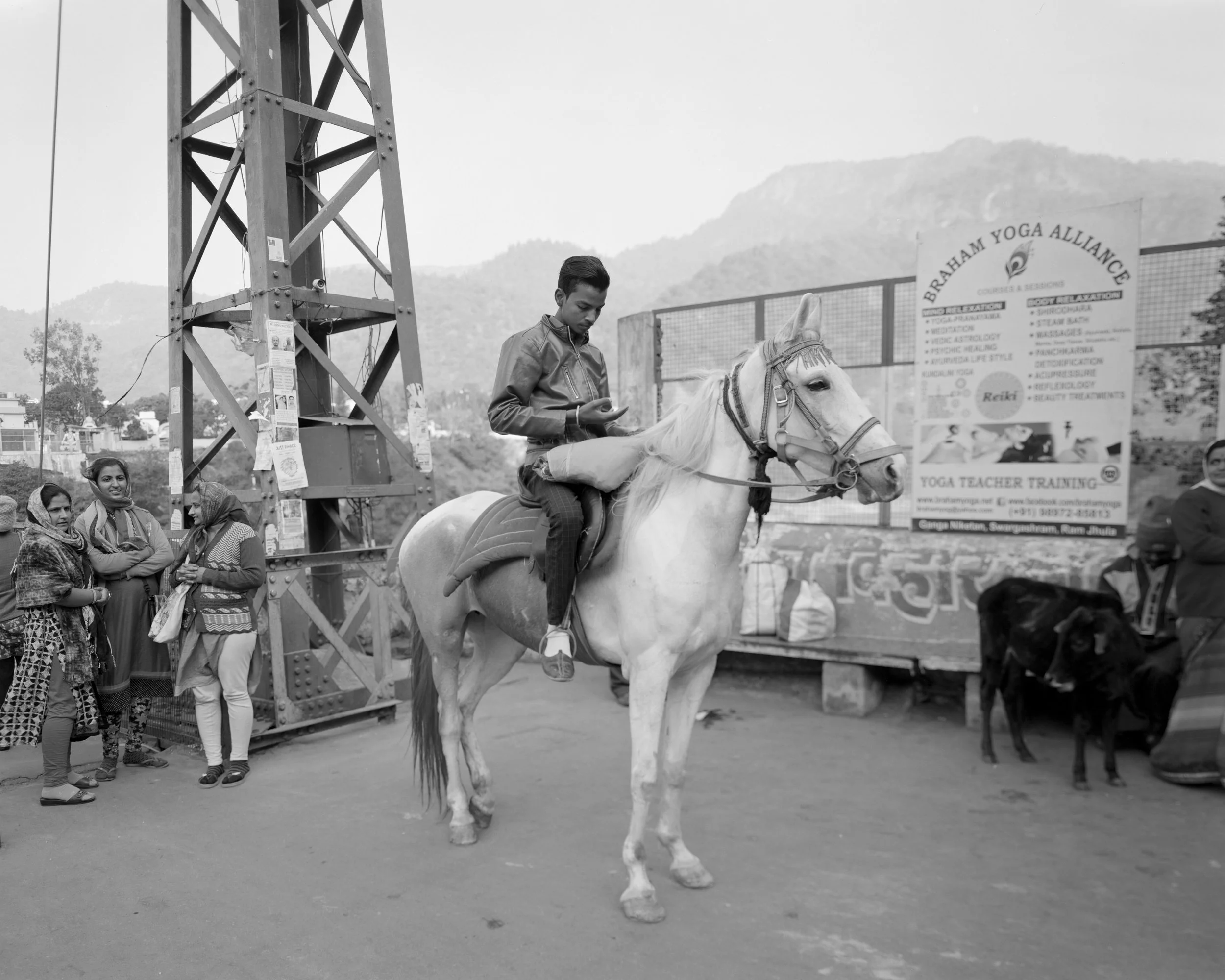 Scrolling Horseback, Rishikesh, India, 2017