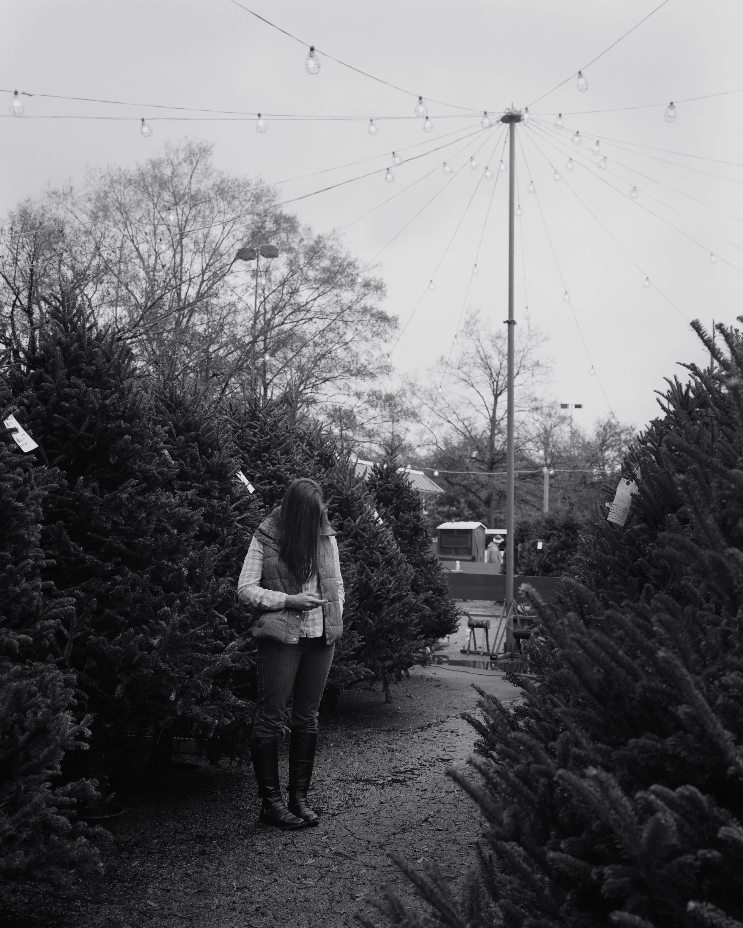Tree Shopping, Durham, North Carolina, 2014